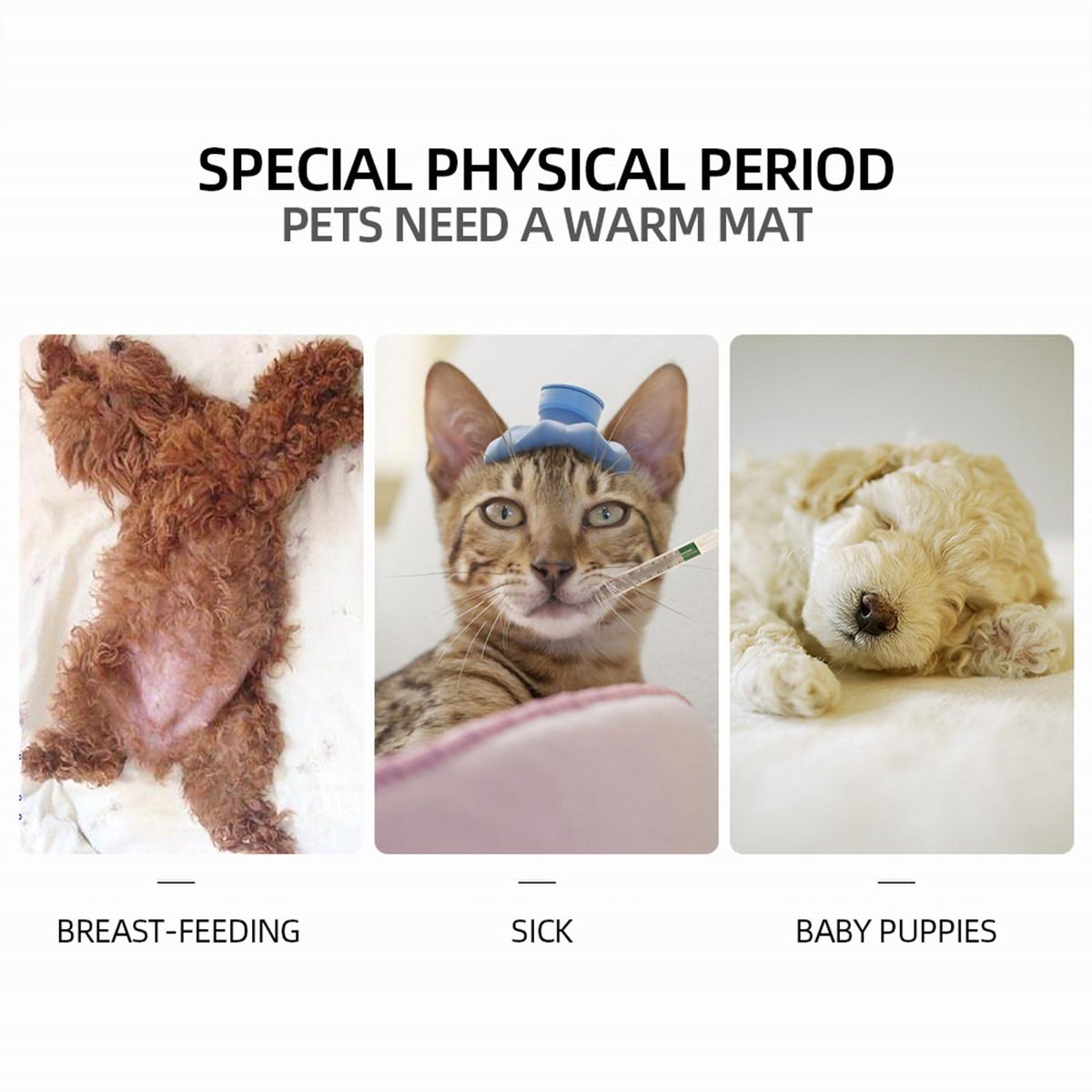 Pet Dog Cat Heating Pad Waterproof Warmer Mat Bed for Dogs Cats Indoor Warming Mat 45*45cm