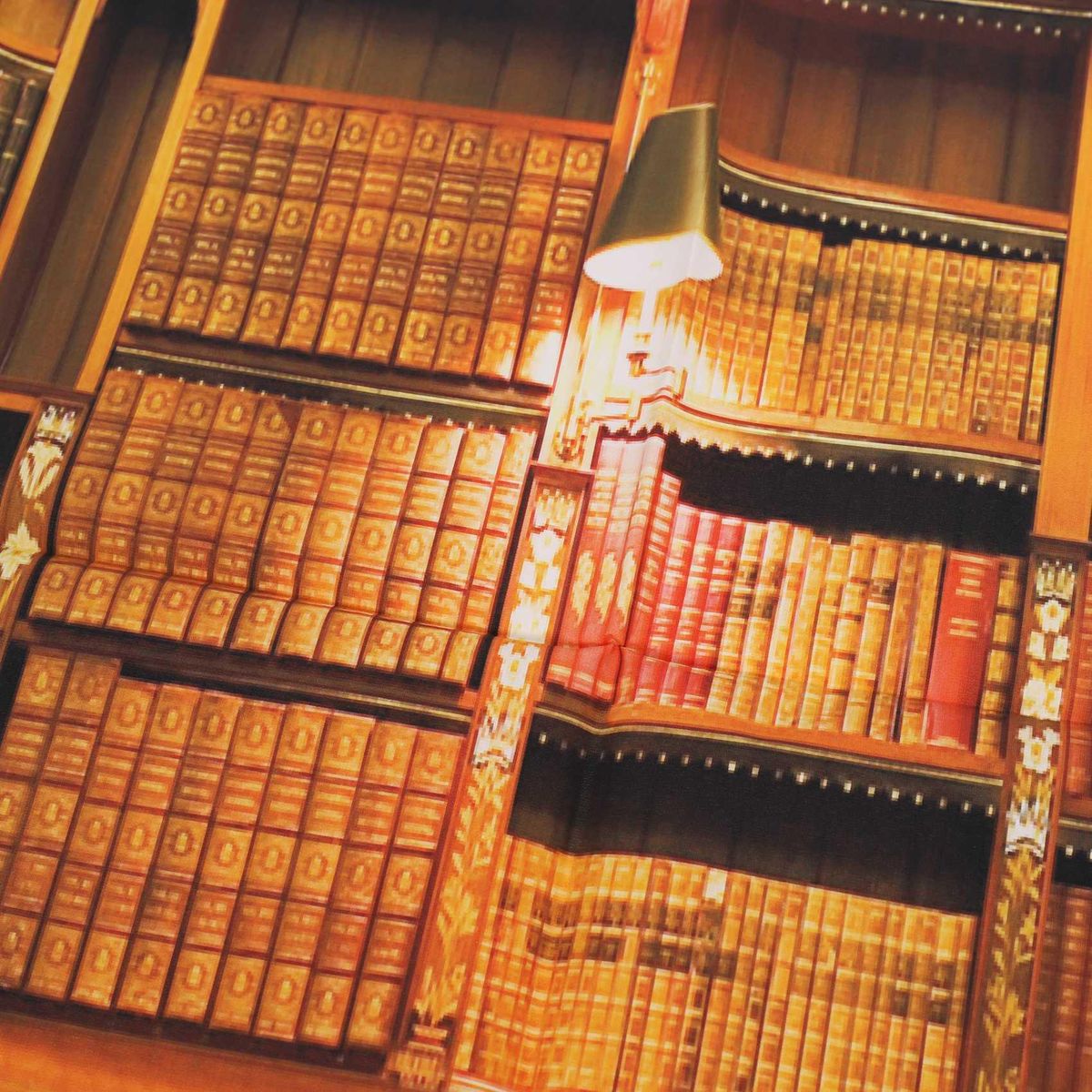 Retro Study Library Books Shelf Photography Photo