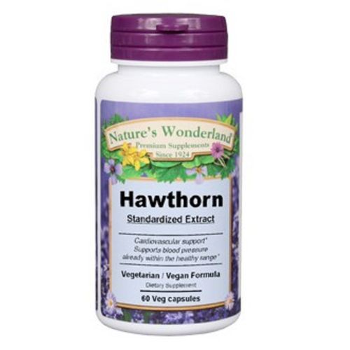 Hawthorn Standardized Extract  60 Capsules