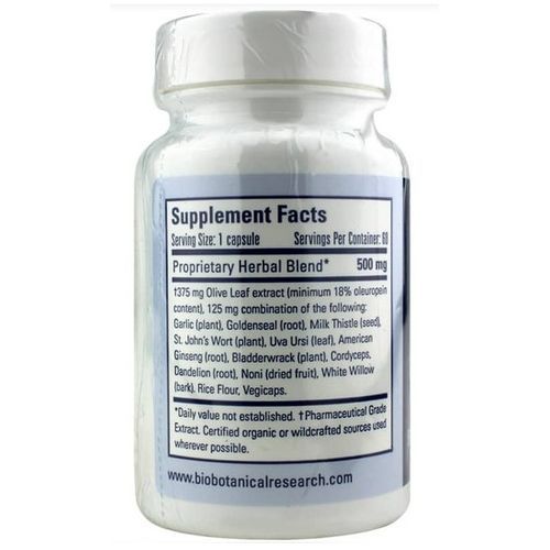 Olive Leaf High Potency Combination 60 Capsul