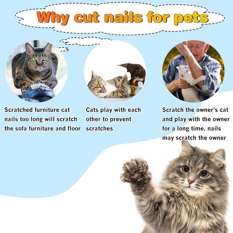2PCS Pet Nail Clippers Cat Dog Animal Claw Trimmer +File S/L Big-pink