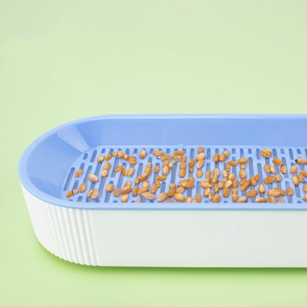 Grow Tray Wheatgrass Growing Trays Catnip Blue
