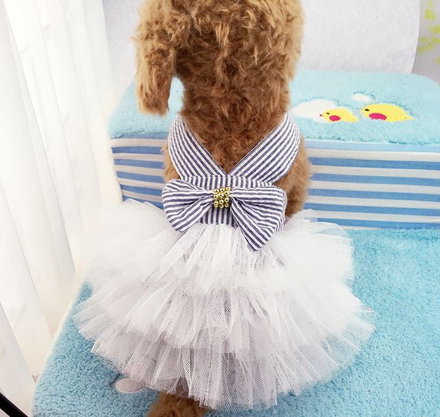 Pet Dog Ballet Skirt Clothes