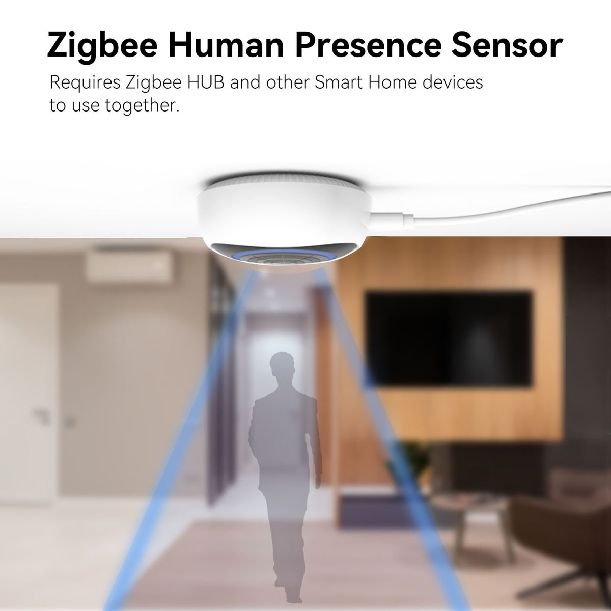 Intelligent Radar Wave Human Presence Sensor Graffiti Zigbee