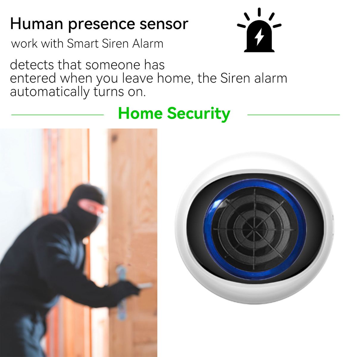 Intelligent Radar Wave Human Presence Sensor Graffiti Zigbee