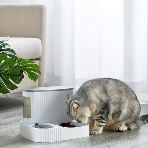3L Pet Cat Bowl Automatic Feeder For Dog Cat Bowl With Dry Food Storage Cat Drinking Water Bowl Puppy Dog Cat Supplies