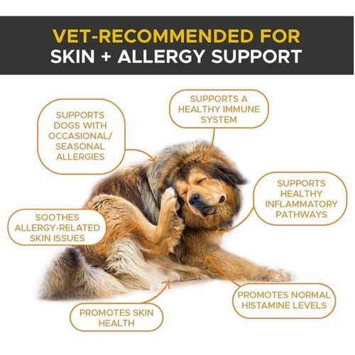 Anti-Scratch,Salmon Oil 16 Oz 473ml