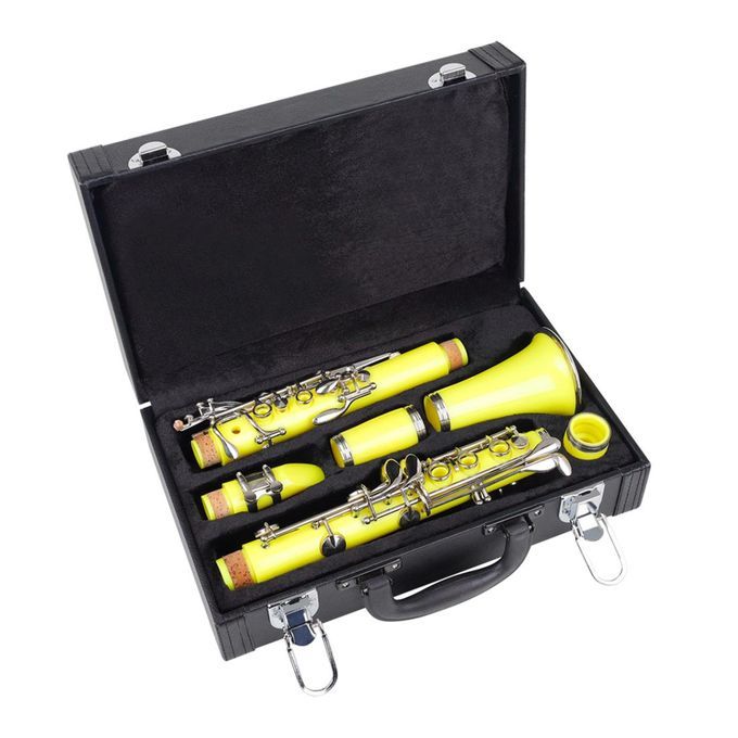 Professional Clarinet Storage Case Portable Padded Box Anti-Wear Gig