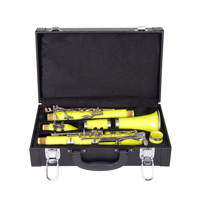 Professional Clarinet Storage Case Portable Padded Box Anti-Wear Gig
