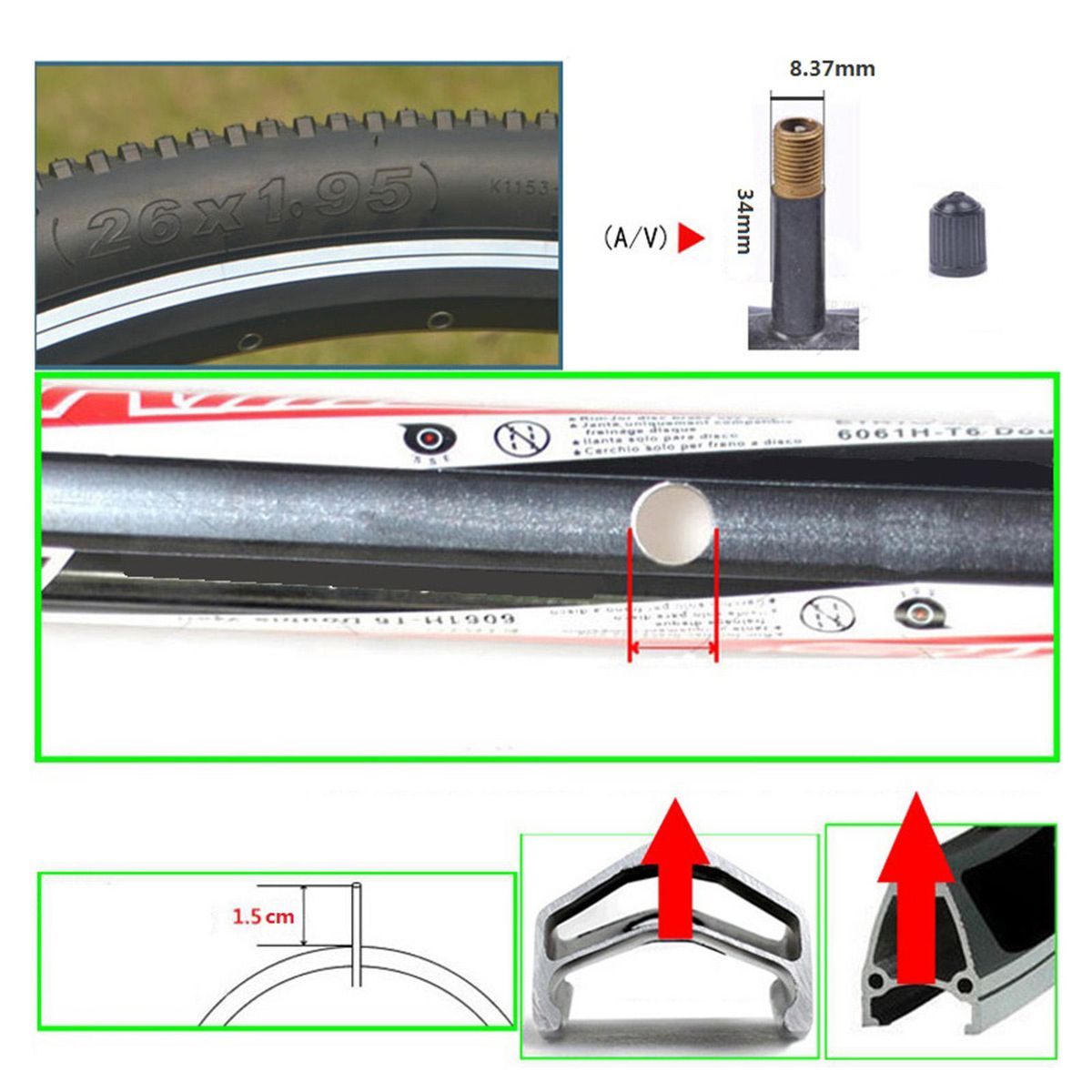 Bike Inner Tube  Tyre Repair Interior