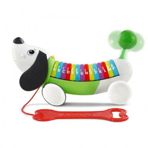 Alphapup Learning Toy