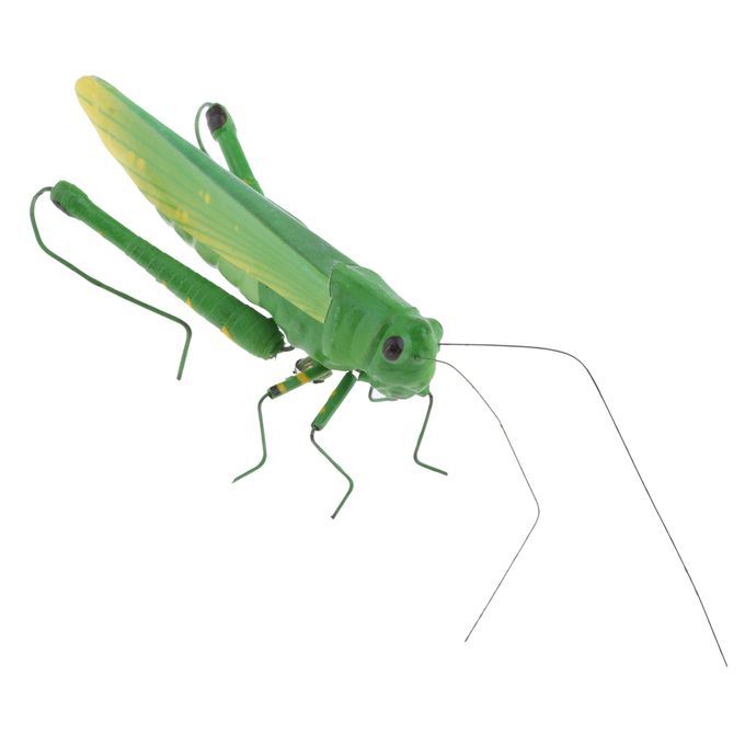 Insect Animal Pot Hanger Fridge   - Grasshopper Locust