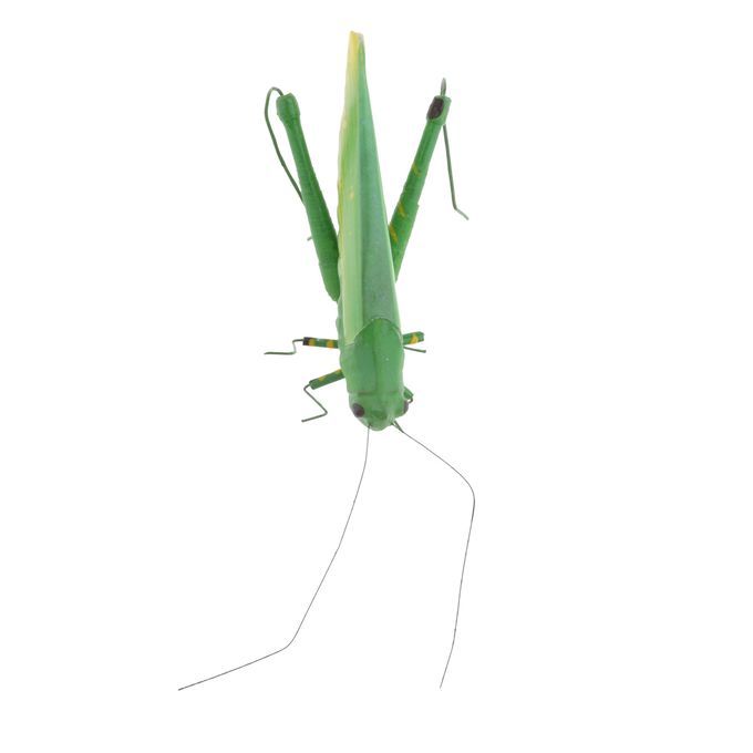 Insect Animal Pot Hanger Fridge   - Grasshopper Locust