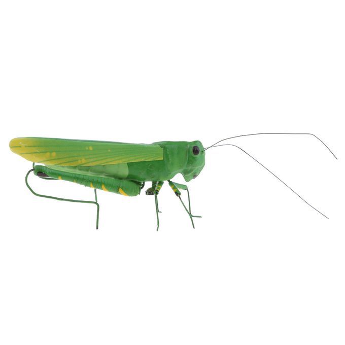 Insect Animal Pot Hanger Fridge   - Grasshopper Locust