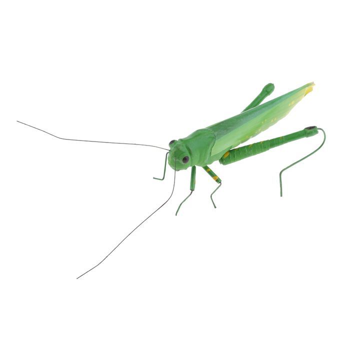 Insect Animal Pot Hanger Fridge   - Grasshopper Locust