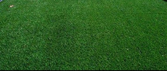 Artificial Grass