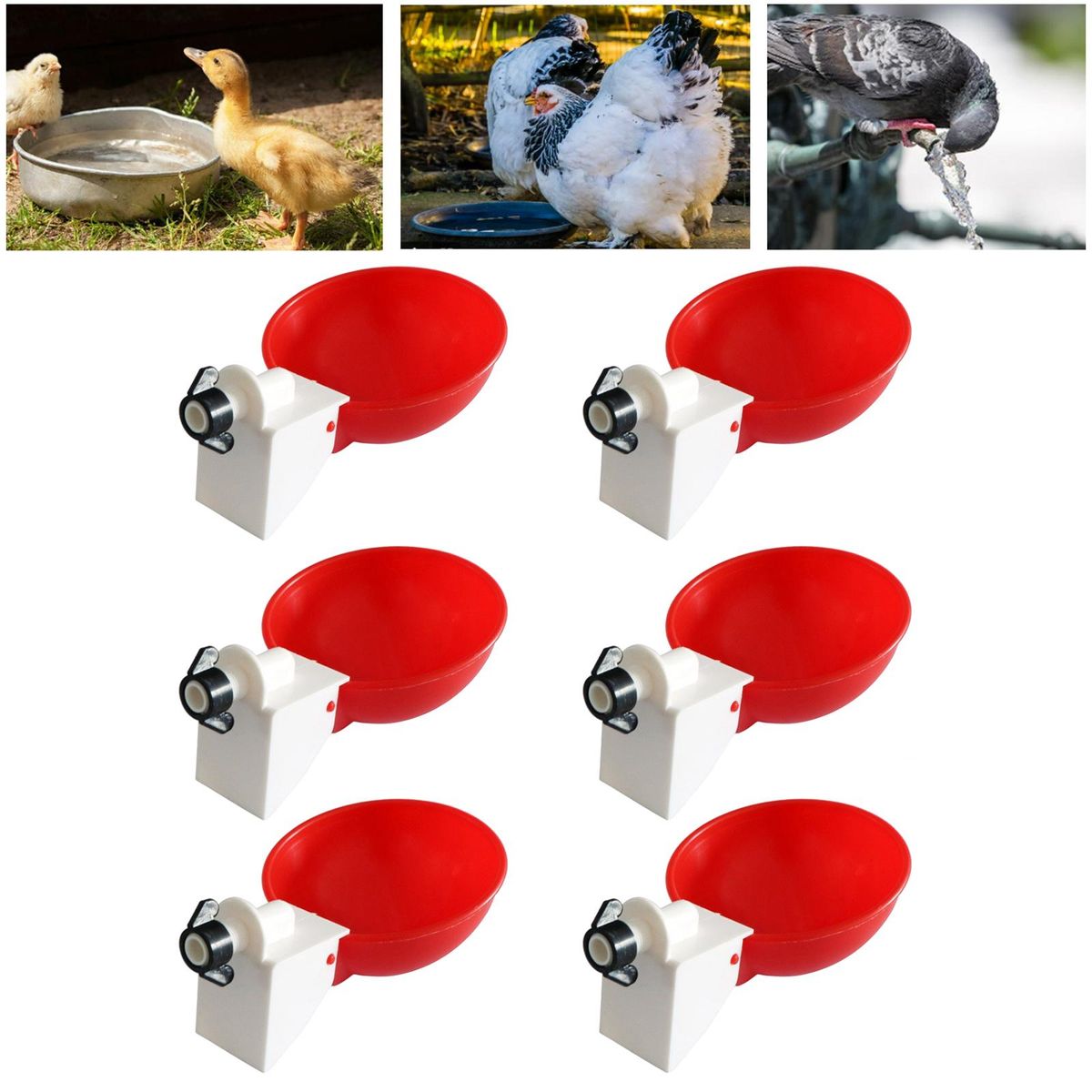 6 Pack Automatic Poultry Cup Waterer Drinker For Chicken Ducks Red