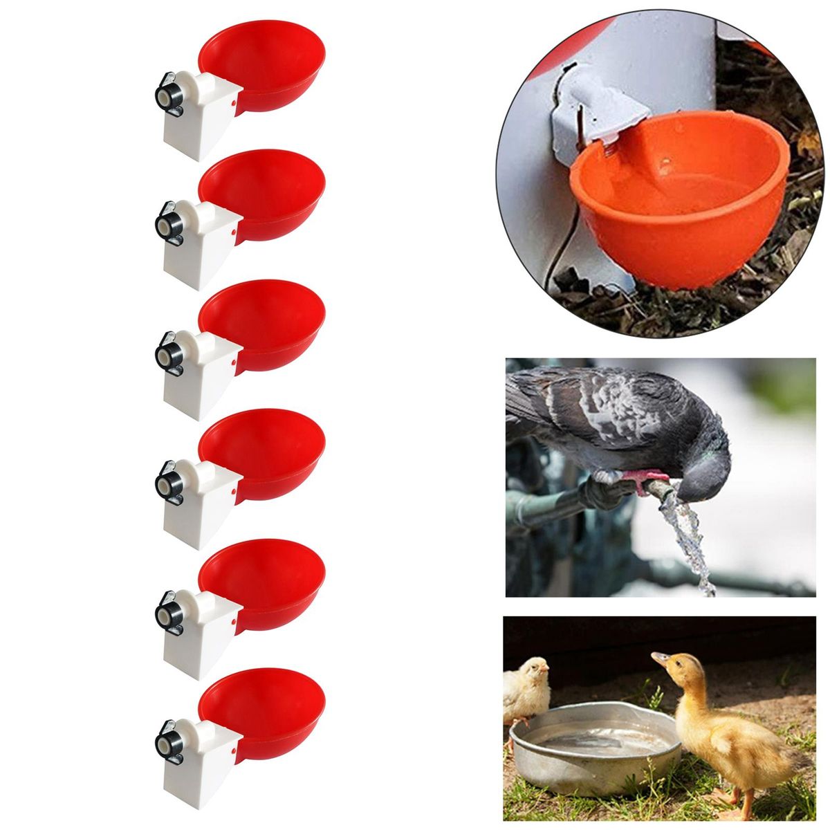 6 Pack Automatic Poultry Cup Waterer Drinker For Chicken Ducks Red