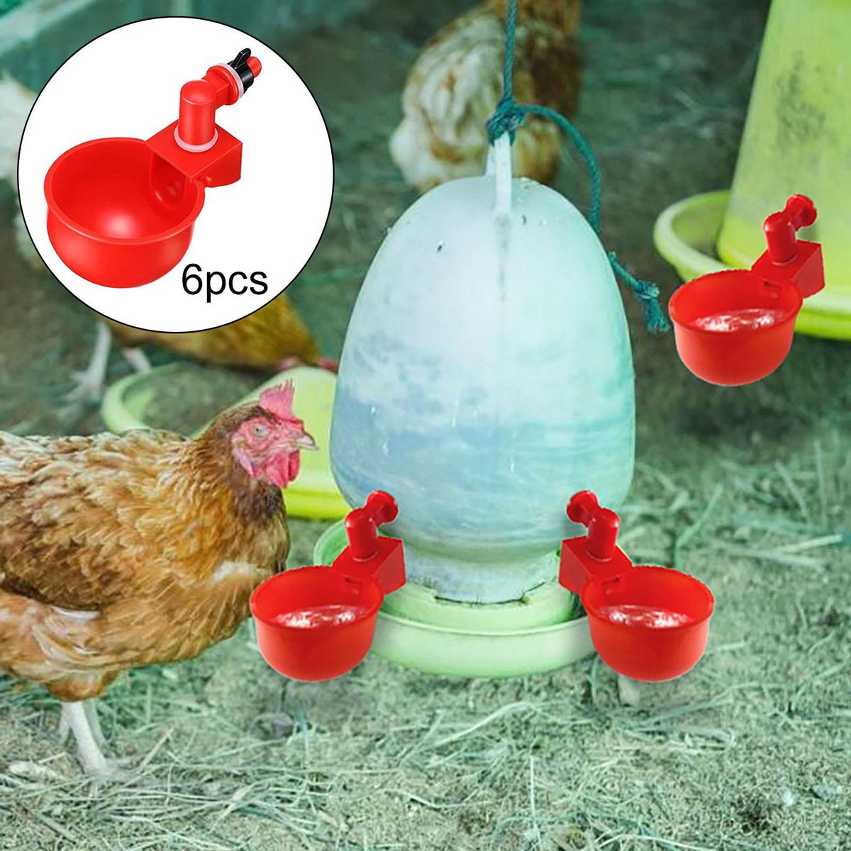 6x Automatic Chicken Drinkers Cups Watering Cups For Birds Red 6pcs