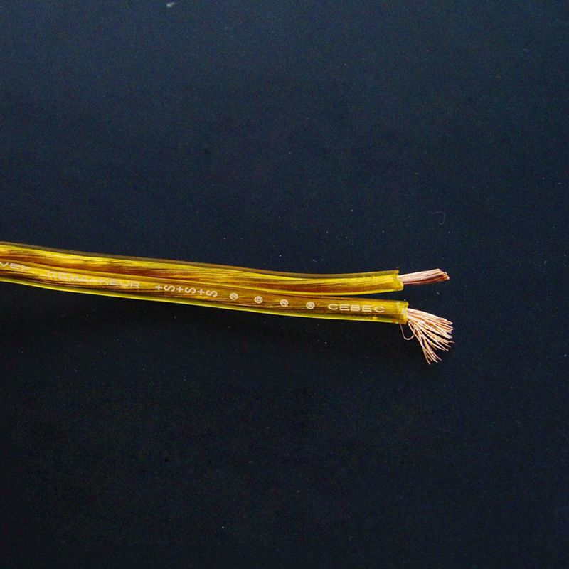 10 Meters Electrical Wires Transparent Parallel Line Two