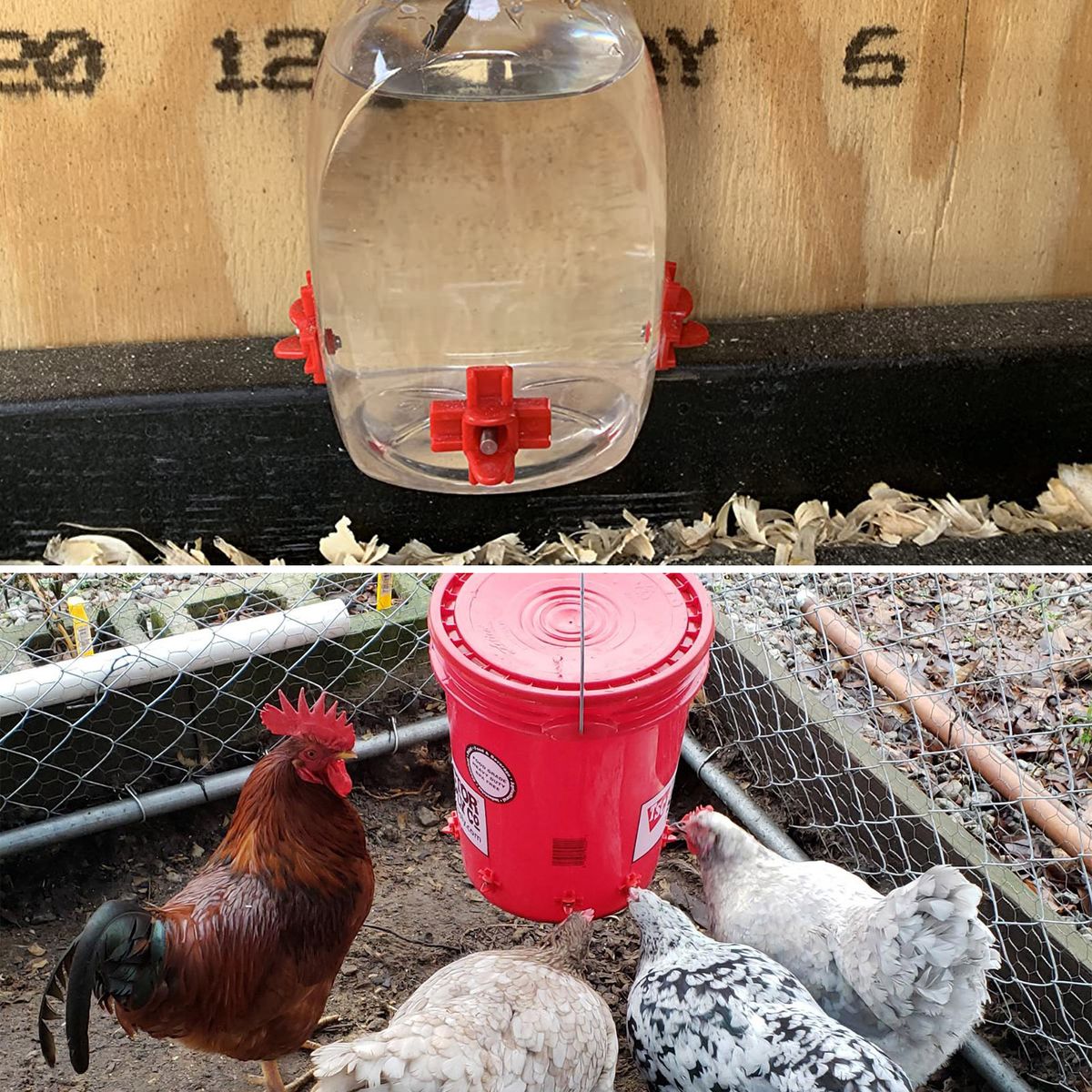 10 PCS Horizontal Side Mount Automatic Poultry Water Chicken