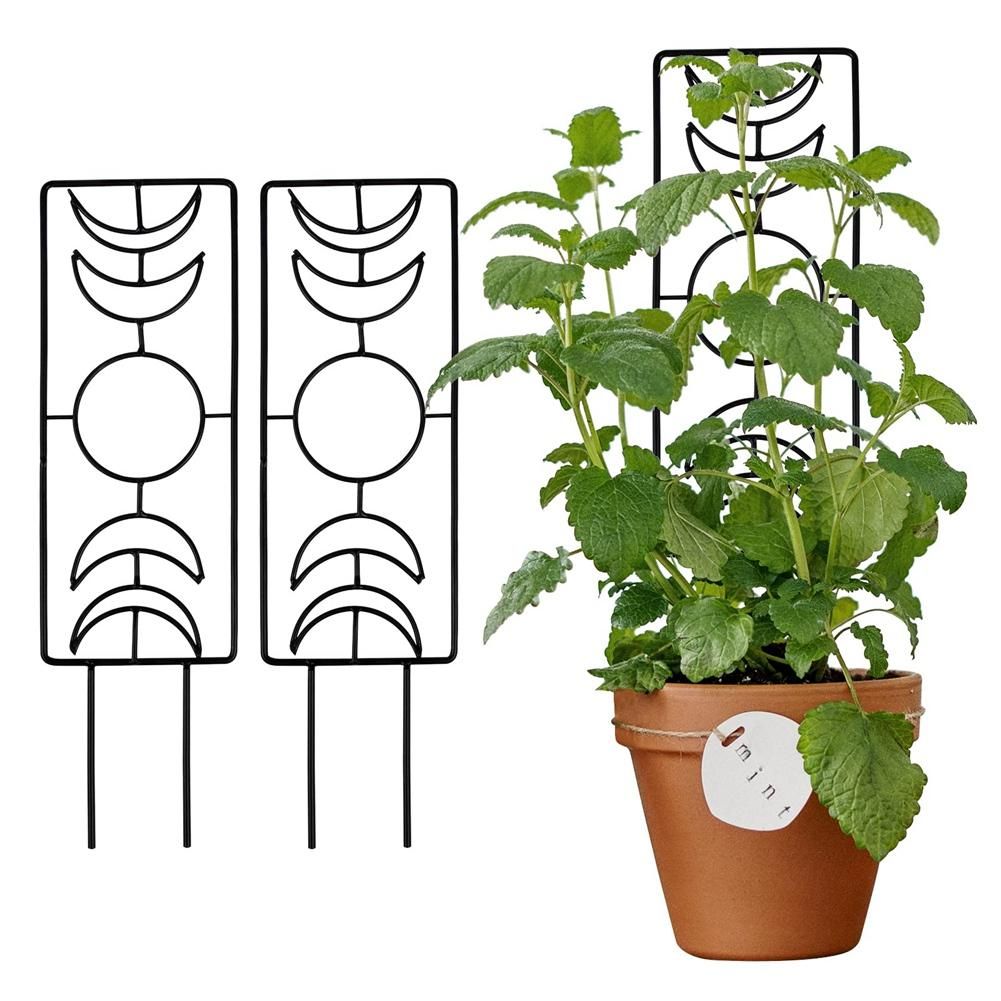 2 Pack Plant Trellis for Climbing Plants Indoor,14 Inch