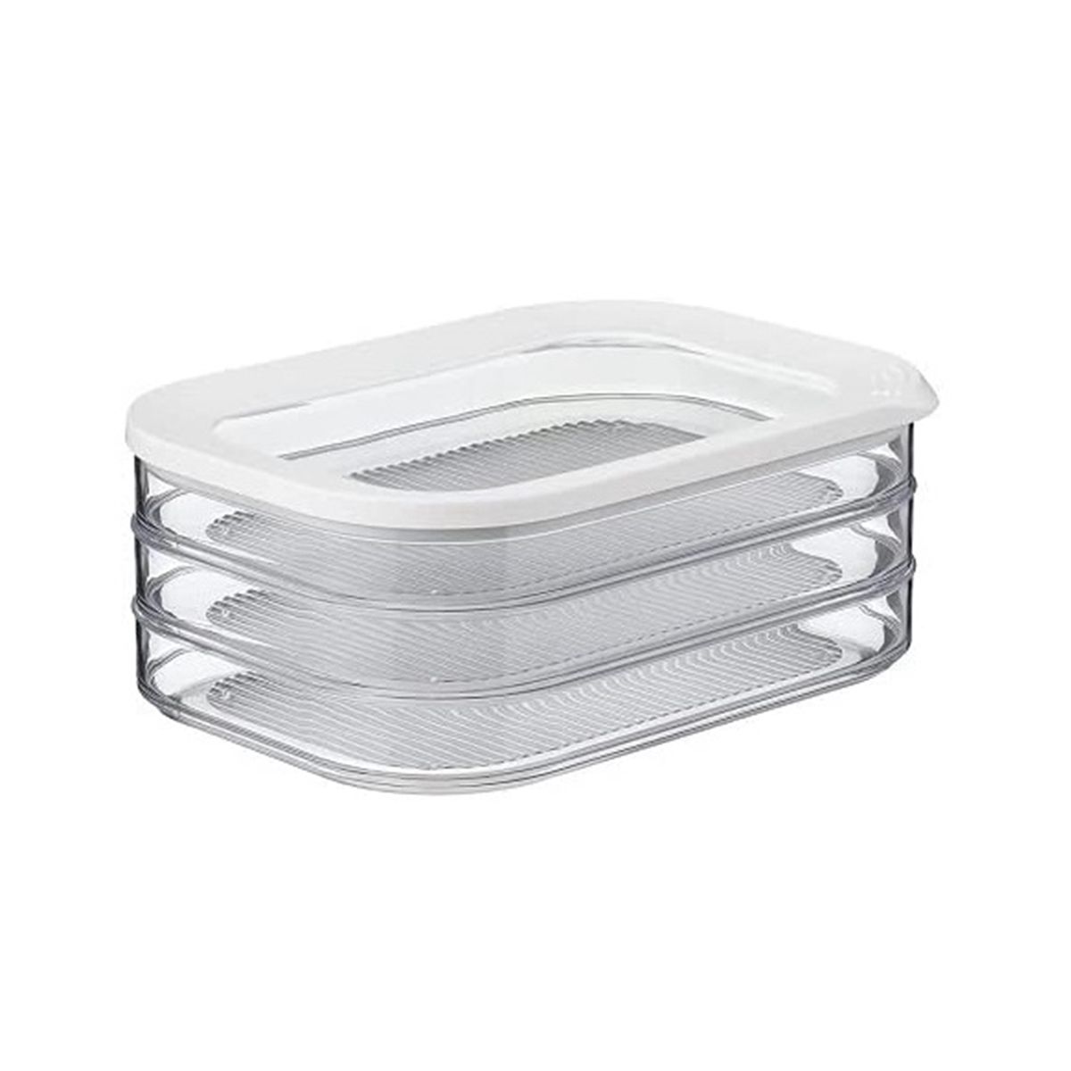 1.6L with 3 Tier Meat Pieces Storage Box Airtight Lid