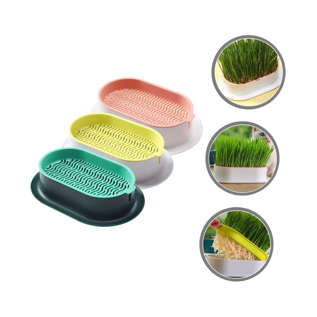 3Pcs Home Planting Box Kit Sprouts Soil-Free Pets Convenient Nursery Grower Soil Propagation