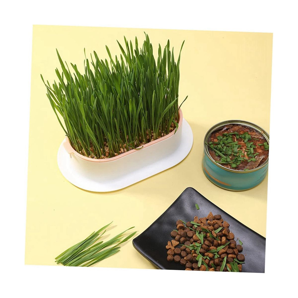3Pcs Home Planting Box Kit Sprouts Soil-Free Pets Convenient Nursery Grower Soil Propagation
