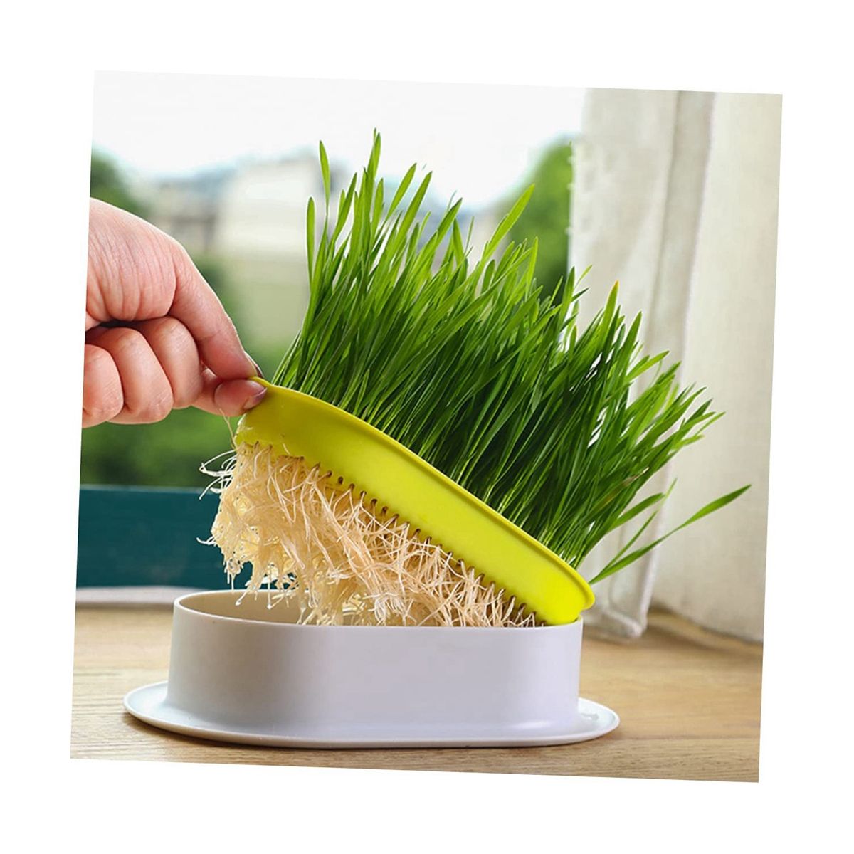 3Pcs Home Planting Box Kit Sprouts Soil-Free Pets Convenient Nursery Grower Soil Propagation