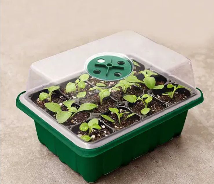 SEED STARTER TRAY  WITH COVER-12HOLES-black