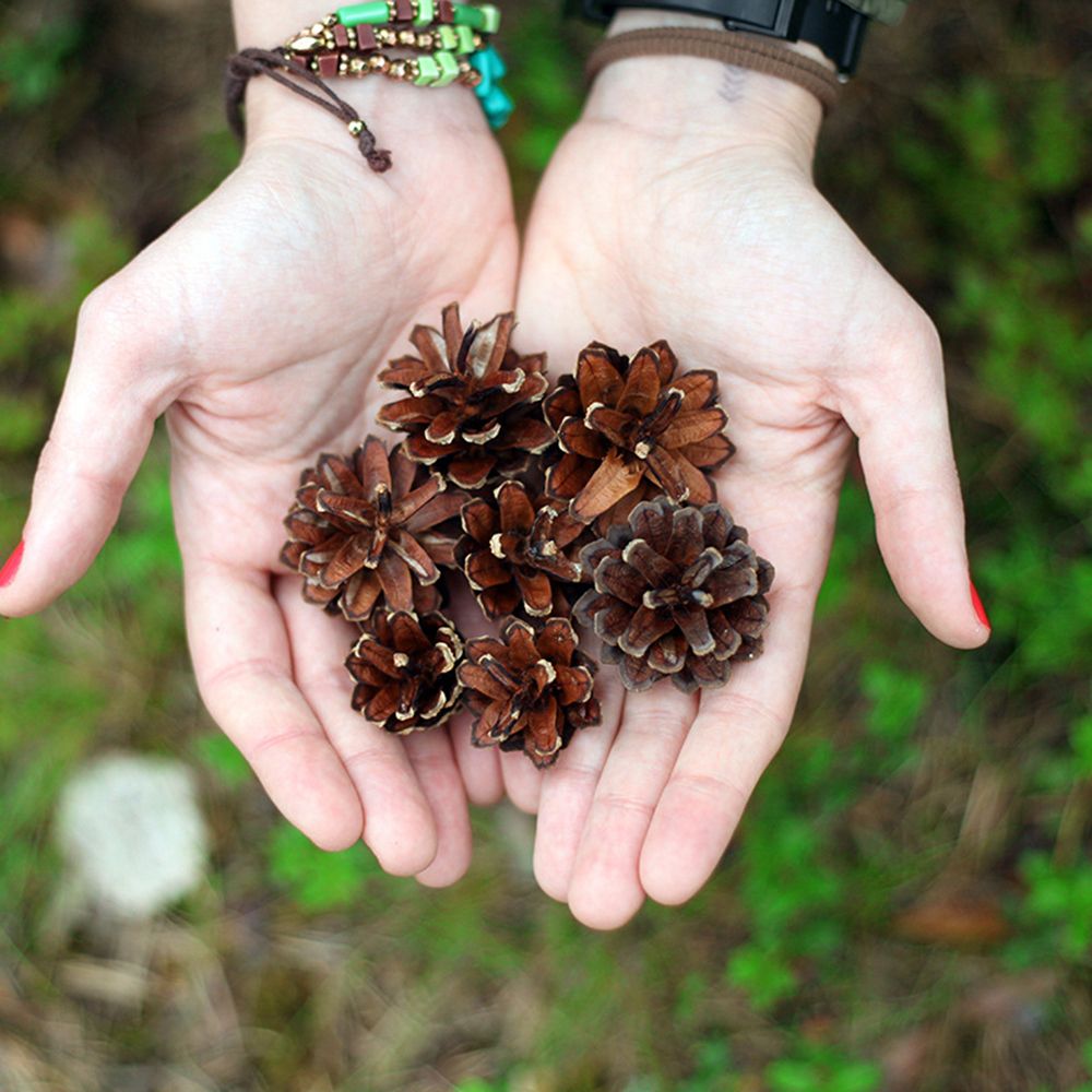 9pcs Christmas Pine Cones Bauble Xmas Tree Party Hanging