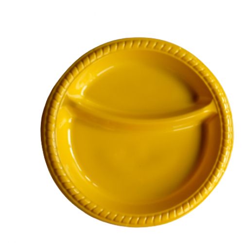 Disposable Party Plates
