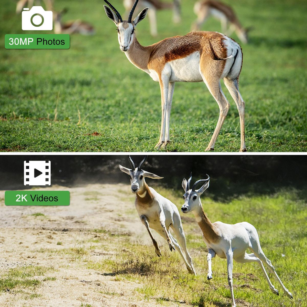4G/LTE Hunting Camera Wireless 30MP Trail and Game Camera Waterproof Outdoor Infrared Night Vision Wildlife Animal Scouting Farm Security Camera