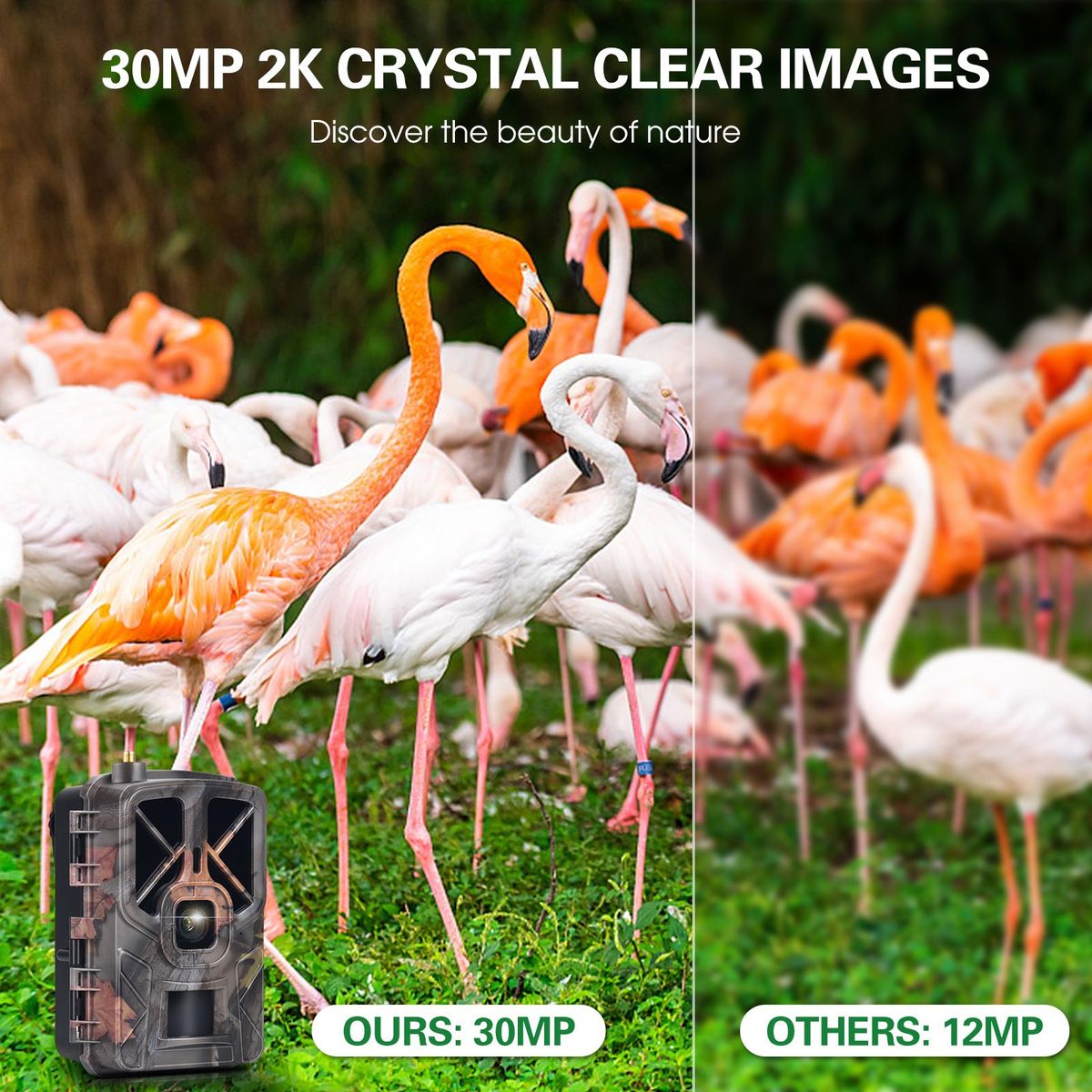 4G/LTE Hunting Camera Wireless 30MP Trail and Game Camera Waterproof Outdoor Infrared Night Vision Wildlife Animal Scouting Farm Security Camera
