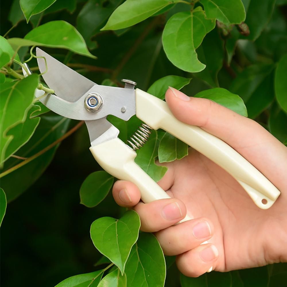 Stainless Steel Garden Scissors Plants Fruit Tree Pruning Shears Grafting Tool Flower Bonsai Pruner Gardening Secateurs Scissor