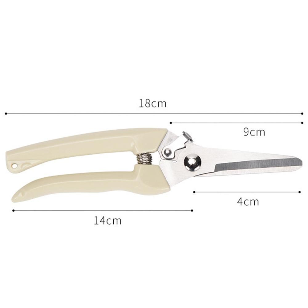 Stainless Steel Garden Scissors Plants Fruit Tree Pruning Shears Grafting Tool Flower Bonsai Pruner Gardening Secateurs Scissor