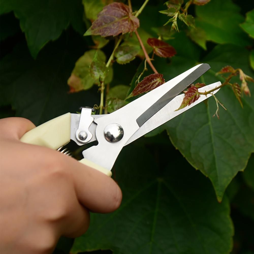 Stainless Steel Garden Scissors Plants Fruit Tree Pruning Shears Grafting Tool Flower Bonsai Pruner Gardening Secateurs Scissor