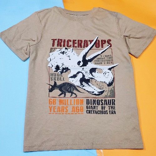 Kids Dino Design Tshirt