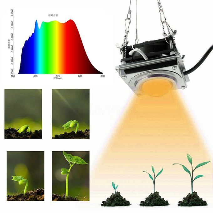LED Grow Light 60W Plant Light For Indoor Plants Grow Lamp Sunlight