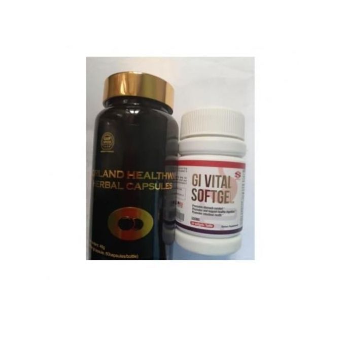 HEALTHWAY HERBAL CAPSULES & GI VITAL- FOR HAPATITIST