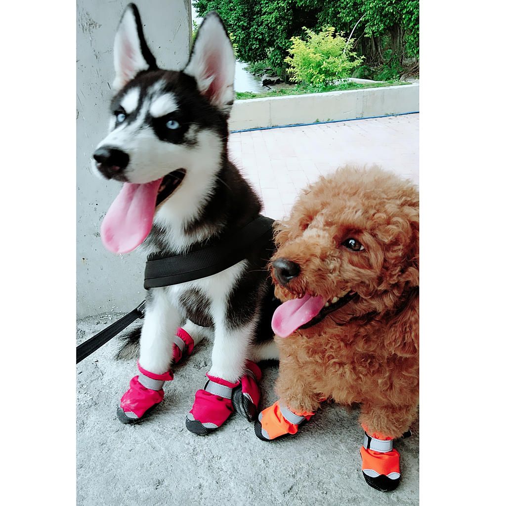 Waterproof Dog Puppy Boots Pet Breathable Snow Shoes Great For Medium