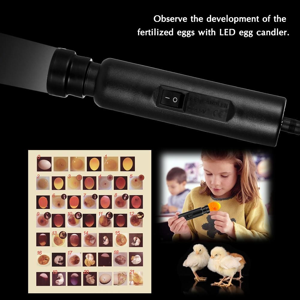 Bright Cool LED Light Egg Candler Tester Incubator Warehouse Exclusive Power by Power Supply Only