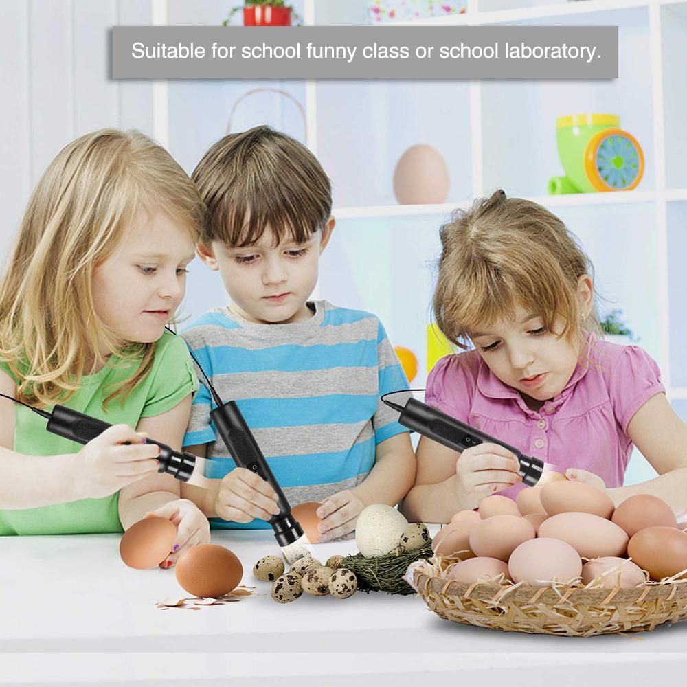 Bright Cool LED Light Egg Candler Tester Incubator Warehouse Exclusive Power by Power Supply Only