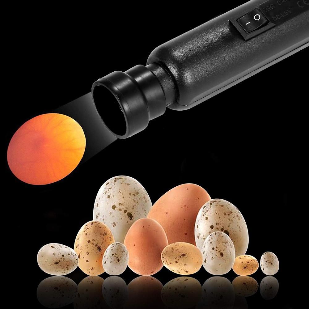 Bright Cool LED Light Egg Candler Tester Incubator Warehouse Exclusive Power by Power Supply Only
