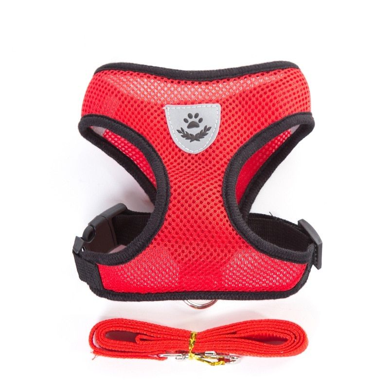 Pet Dog Harness Small Dog Chain Teddy Vest Puppies Chest Strap Breathable Mesh Harness Leash Pet Set Outdoor Perro Walking Leads