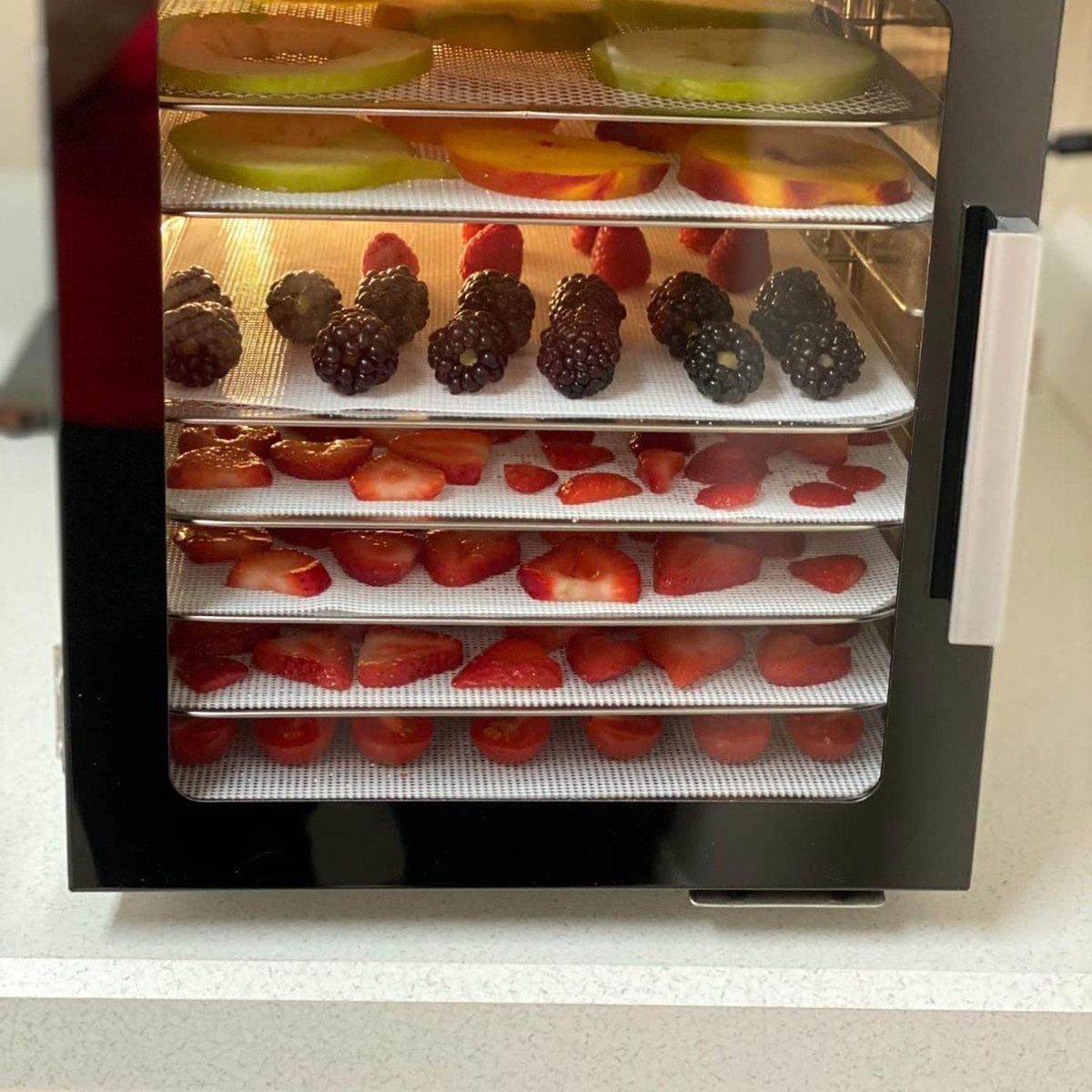 Silicone Dehydrator Sheets Premium Non Stick Silicone Mesh for Fruit Dehydrator Dehydrator Tray Reusable 12Pcs