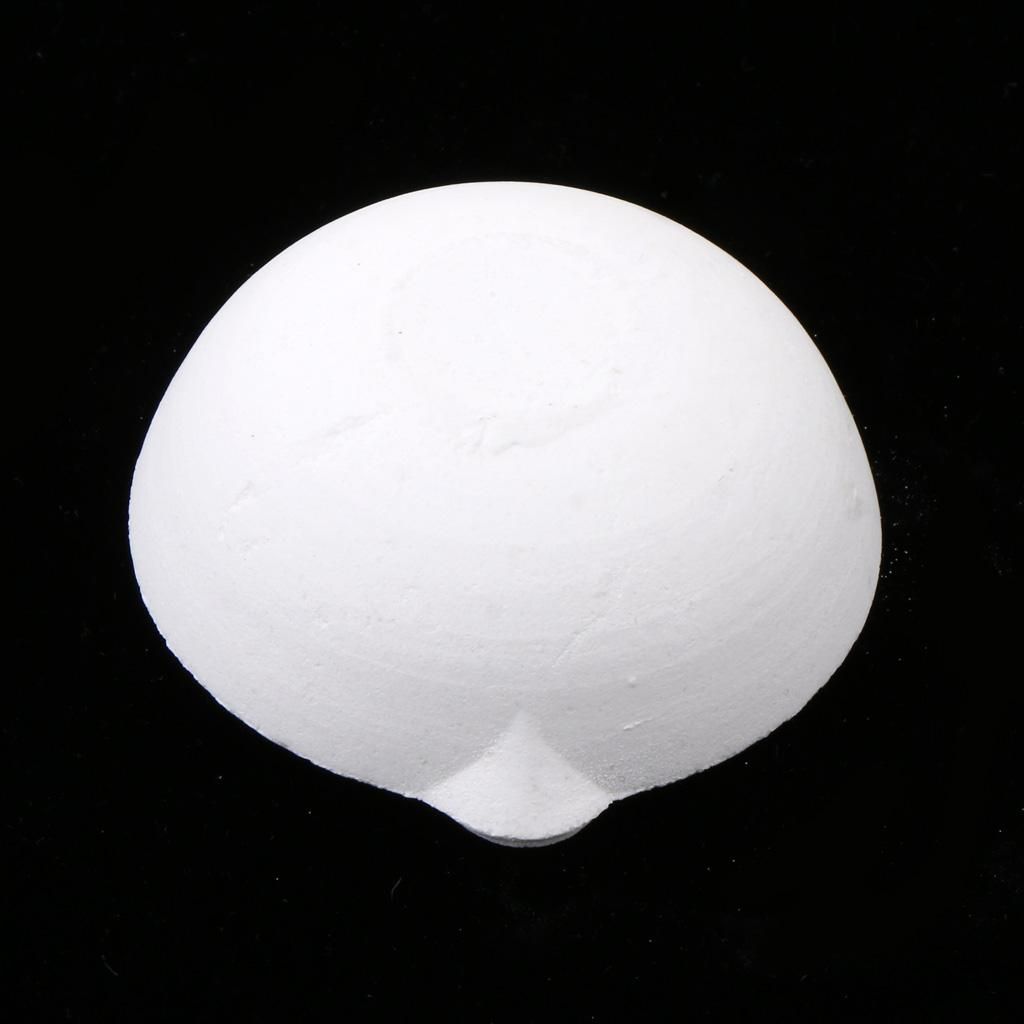 250/750G Quartz Silica Smelting Bowl Pot Melting Crucible For Gold