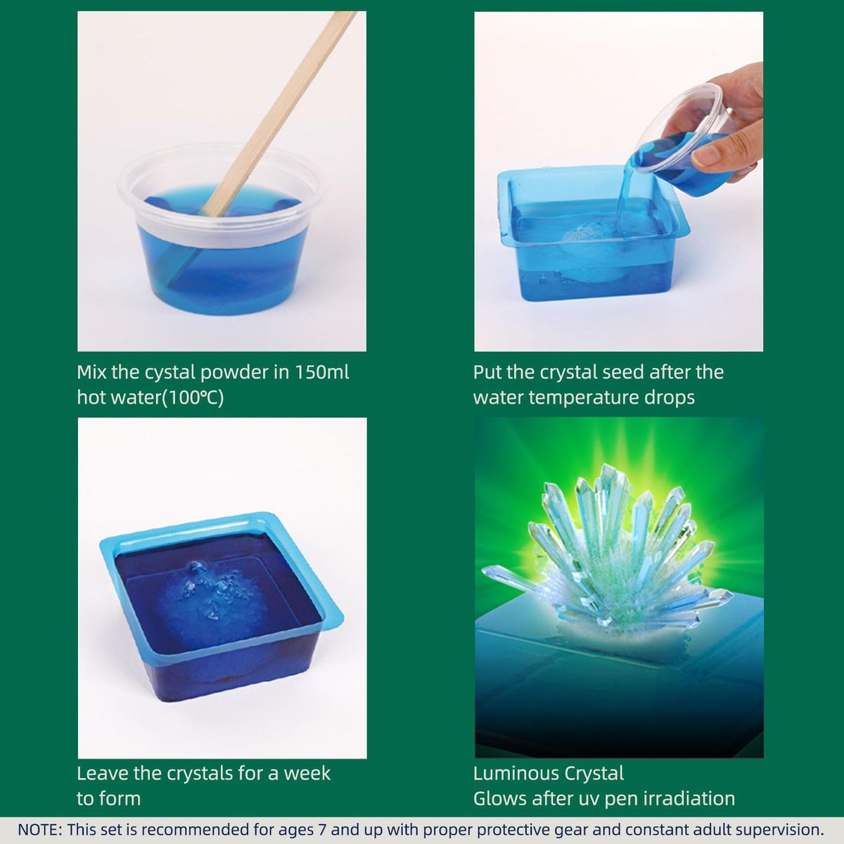 STEAM Chemical Science Experiment Glowing Slime Crystal Growing Gypsum Animals 3-in-1 Educational Craft DIY Projects Kits Lab Experiment