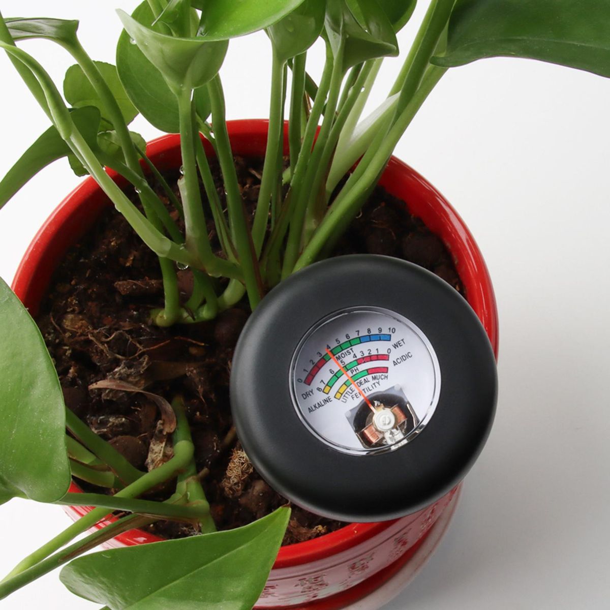 Moisture Meter Plant Moisture Monitor PH Meter Black